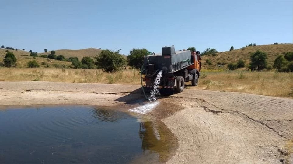 Στέρεψαν οι πηγές στην Πίνδο – Με υδροφόρες νερό για τα κοπάδια